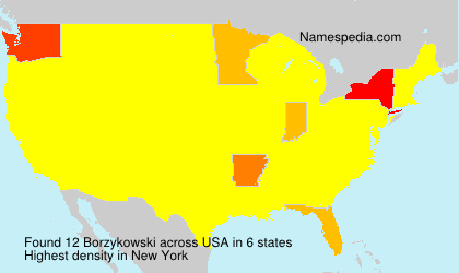 Surname Borzykowski in USA