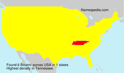 Surname Bourini in USA