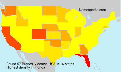 Surname Branesky in USA