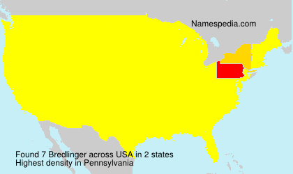 Surname Bredlinger in USA
