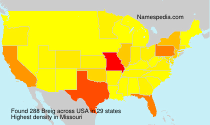 Surname Breig in USA