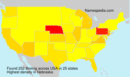 Surname Breinig in USA