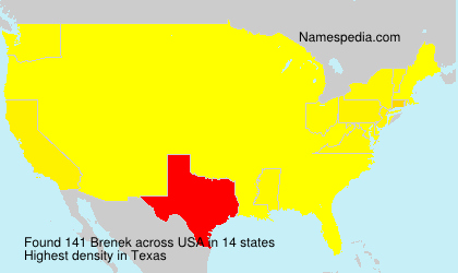 Surname Brenek in USA