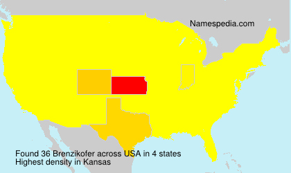 Surname Brenzikofer in USA