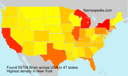 Surname Brian in USA