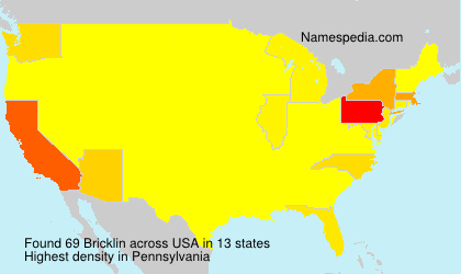 Surname Bricklin in USA