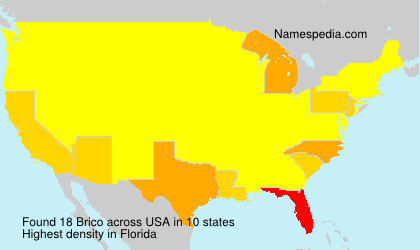 Surname Brico in USA