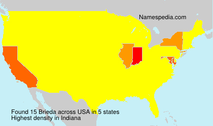 Surname Brieda in USA