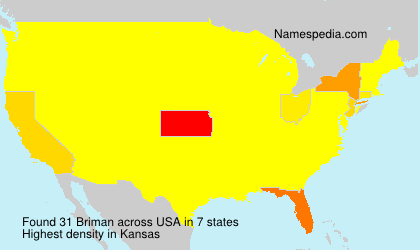 Surname Briman in USA