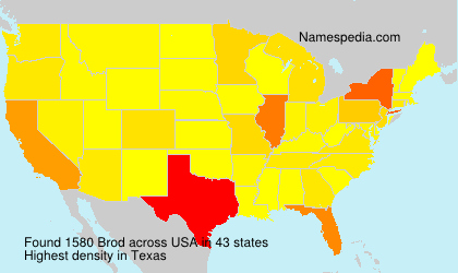 Surname Brod in USA
