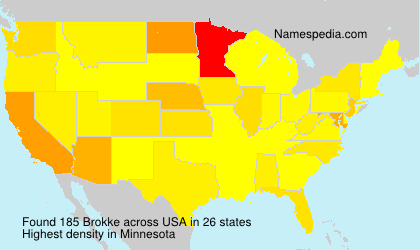 Surname Brokke in USA