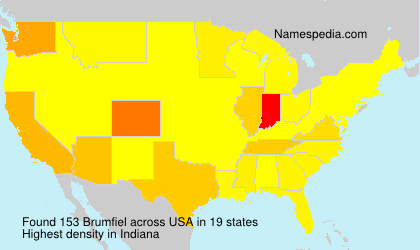 Surname Brumfiel in USA