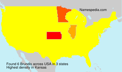 Surname Brundis in USA