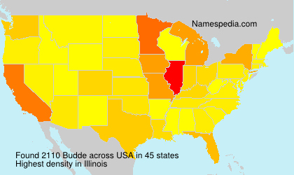 Surname Budde in USA