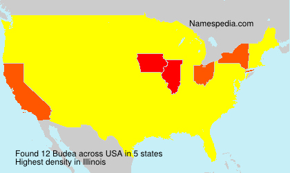 Surname Budea in USA