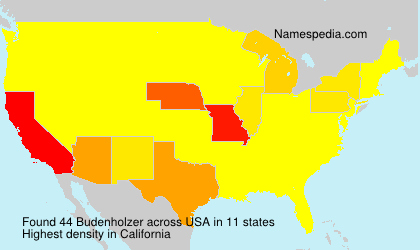 Surname Budenholzer in USA