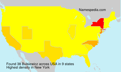 Surname Bulsiewicz in USA