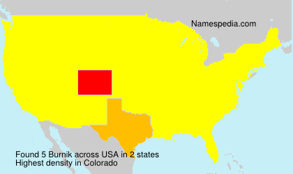 Surname Burnik in USA