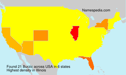 Surname Burzic in USA