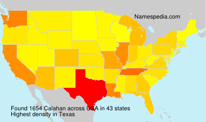 Surname Calahan in USA