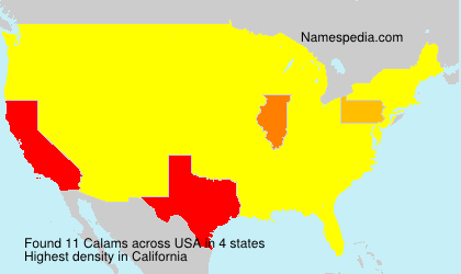 Surname Calams in USA