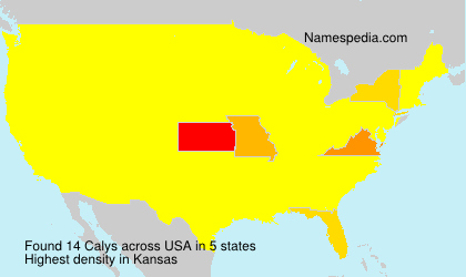 Surname Calys in USA