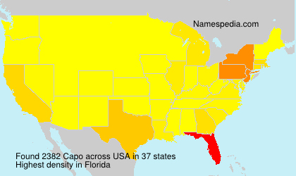 Surname Capo in USA