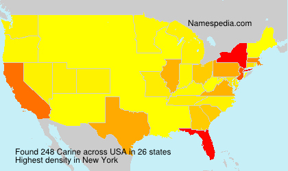 Surname Carine in USA