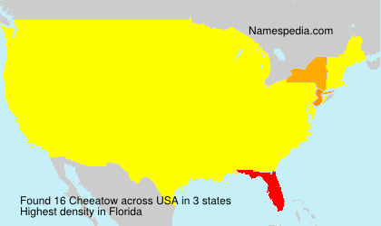 Surname Cheeatow in USA