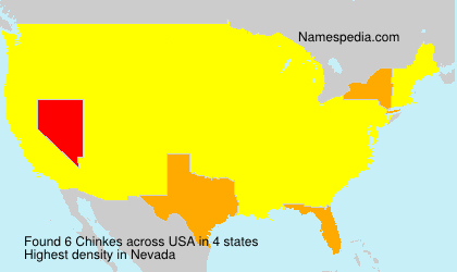 Surname Chinkes in USA