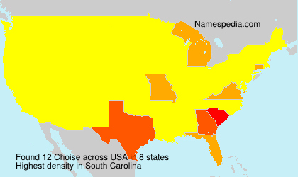 Surname Choise in USA Surname Choise in USA
