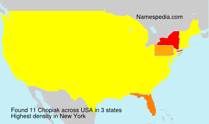 Surname Chopiak in USA Surname Chopiak in USA