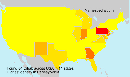 Surname Cibak in USA
