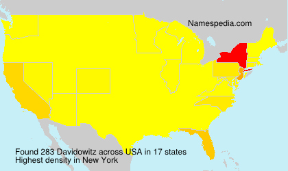 Surname Davidowitz in USA