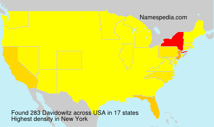 Surname Davidowitz in USA Surname Davidowitz in USA