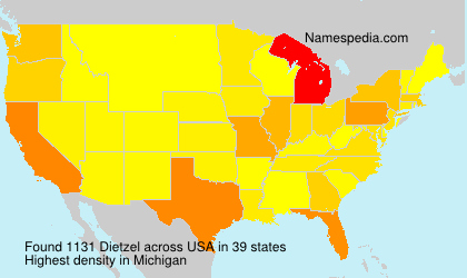 Surname Dietzel in USA
