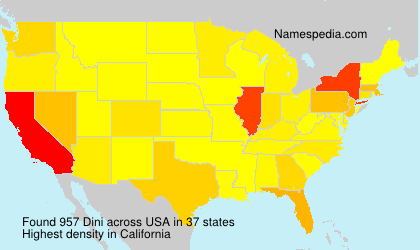 Surname Dini in USA