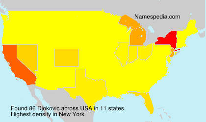 Surname Djokovic in USA