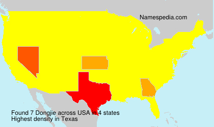 Surname Dongjie in USA Surname Dongjie in USA