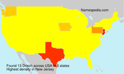 Surname Drisch in USA