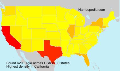 Surname Eligio in USA