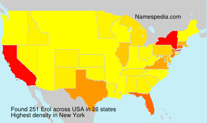 Surname Erol in USA