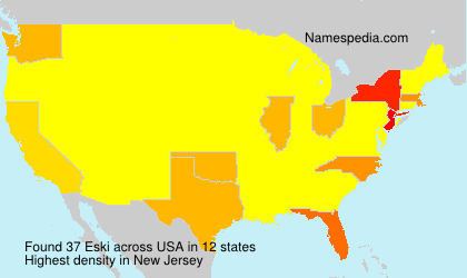 Surname Eski in USA