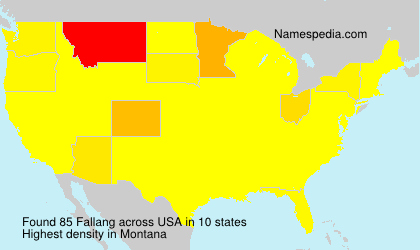 Surname Fallang in USA