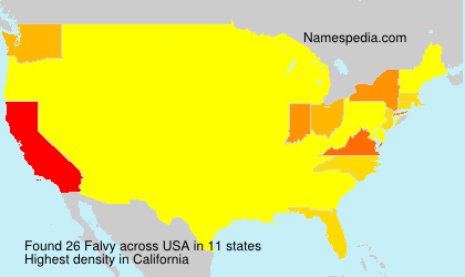 Surname Falvy in USA