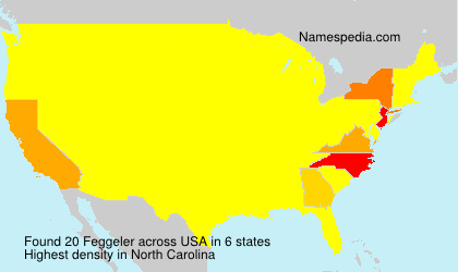 Surname Feggeler in USA