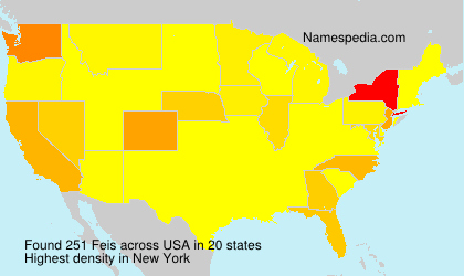 Surname Feis in USA