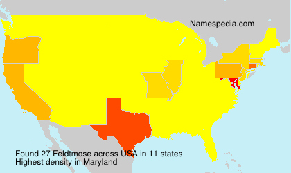 Surname Feldtmose in USA