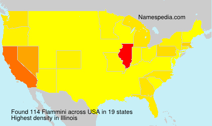 Surname Flammini in USA