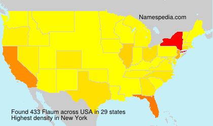 Surname Flaum in USA
